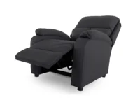 Venus Recliner Chair